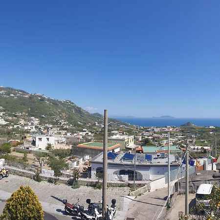 Hotel Mareluna Ischia Forio di Ischia Εξωτερικό φωτογραφία