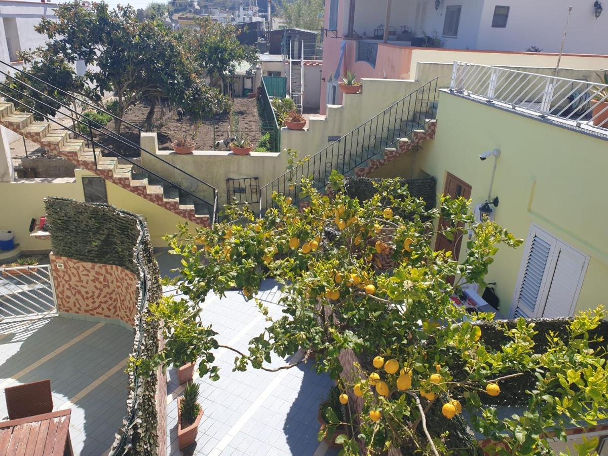 Hotel Mareluna Ischia Forio di Ischia Εξωτερικό φωτογραφία